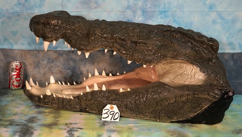New Crocodile Head Reproduction Taxidermy Mount