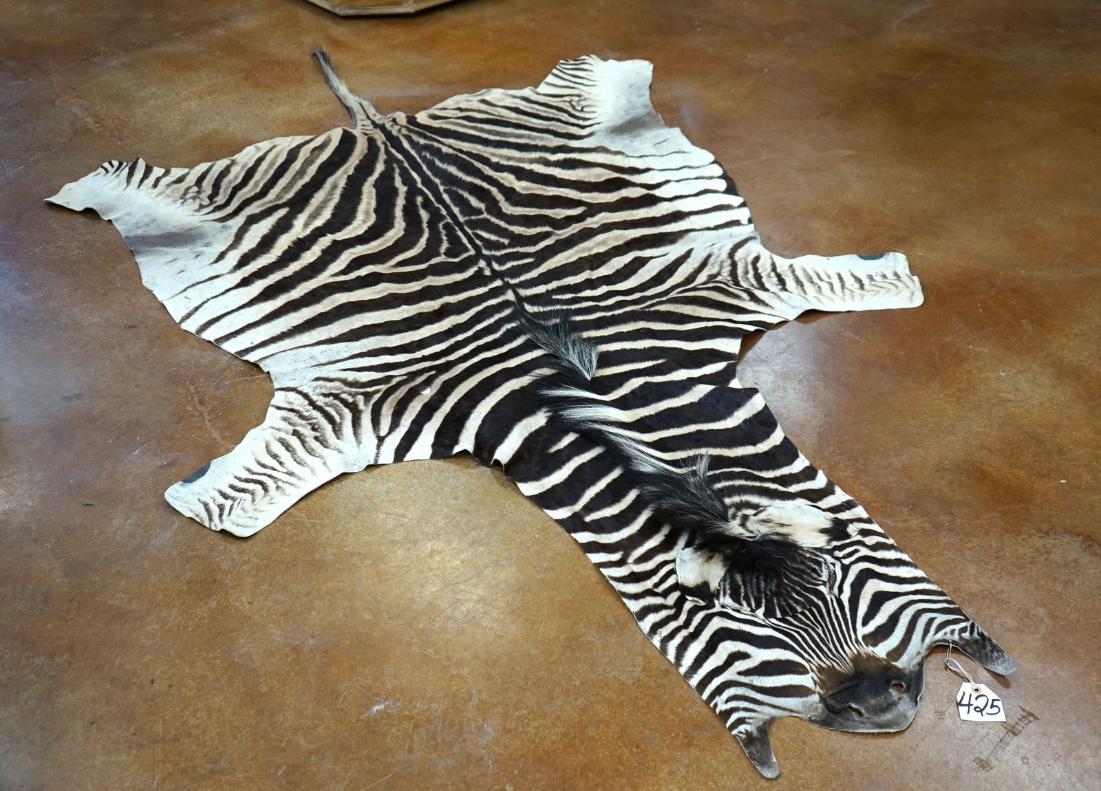 Beautiful Tanned Zebra Hide Rug Taxidermy (1 of 4)