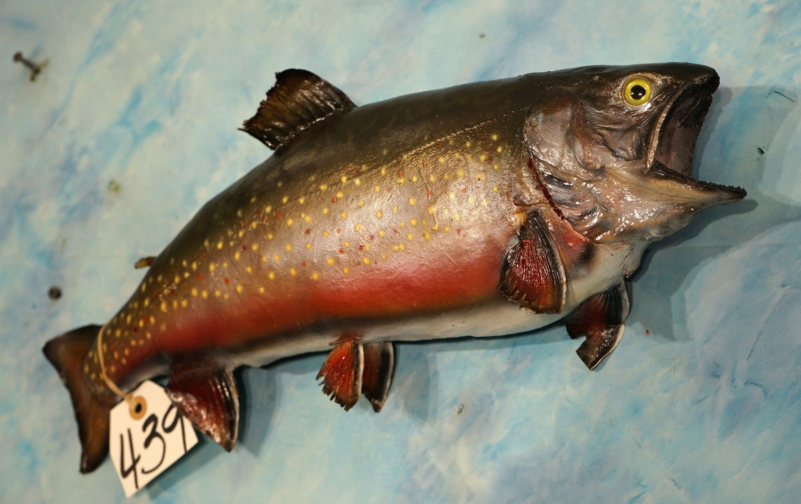 20" Real Skin Arctic Char Taxidermy Fish Mount (1 of 3)
