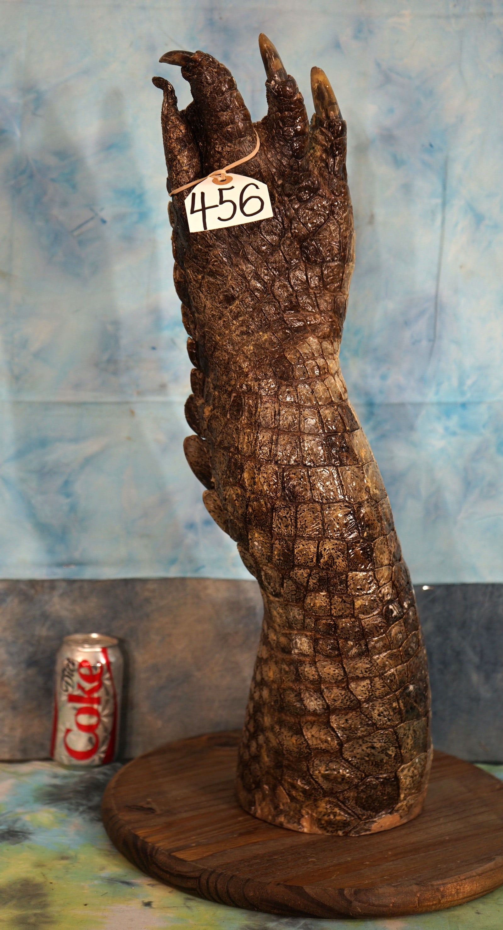 Real African Nile Crocodile Leg Mounted on Panel Taxidermy Mount **U.S. Residents Only!** (1 of 3)