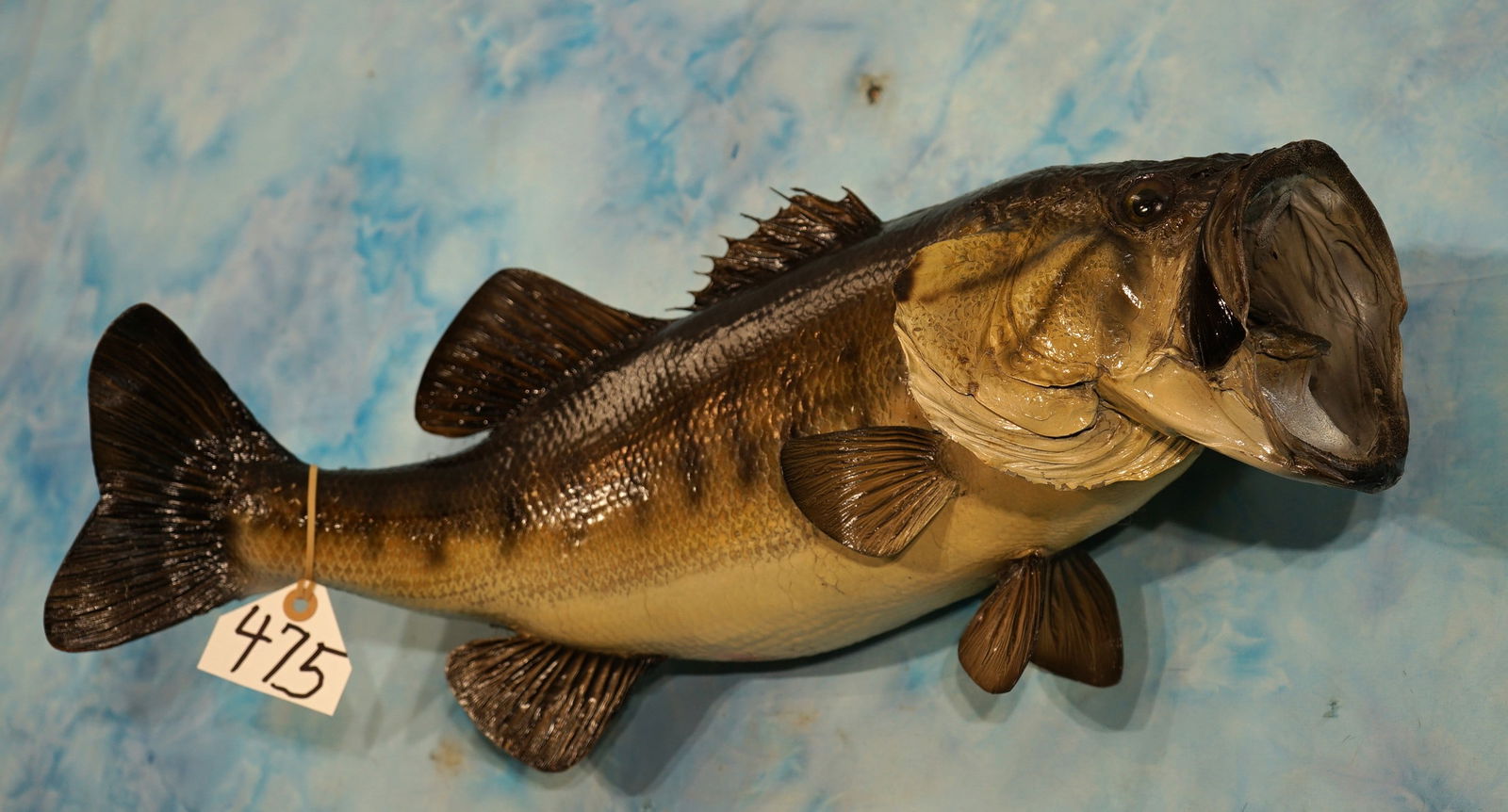 6 3/4 Lbs. 23" Real Skin Largemouth Bass Taxidermy Fish Mount (1 of 3)