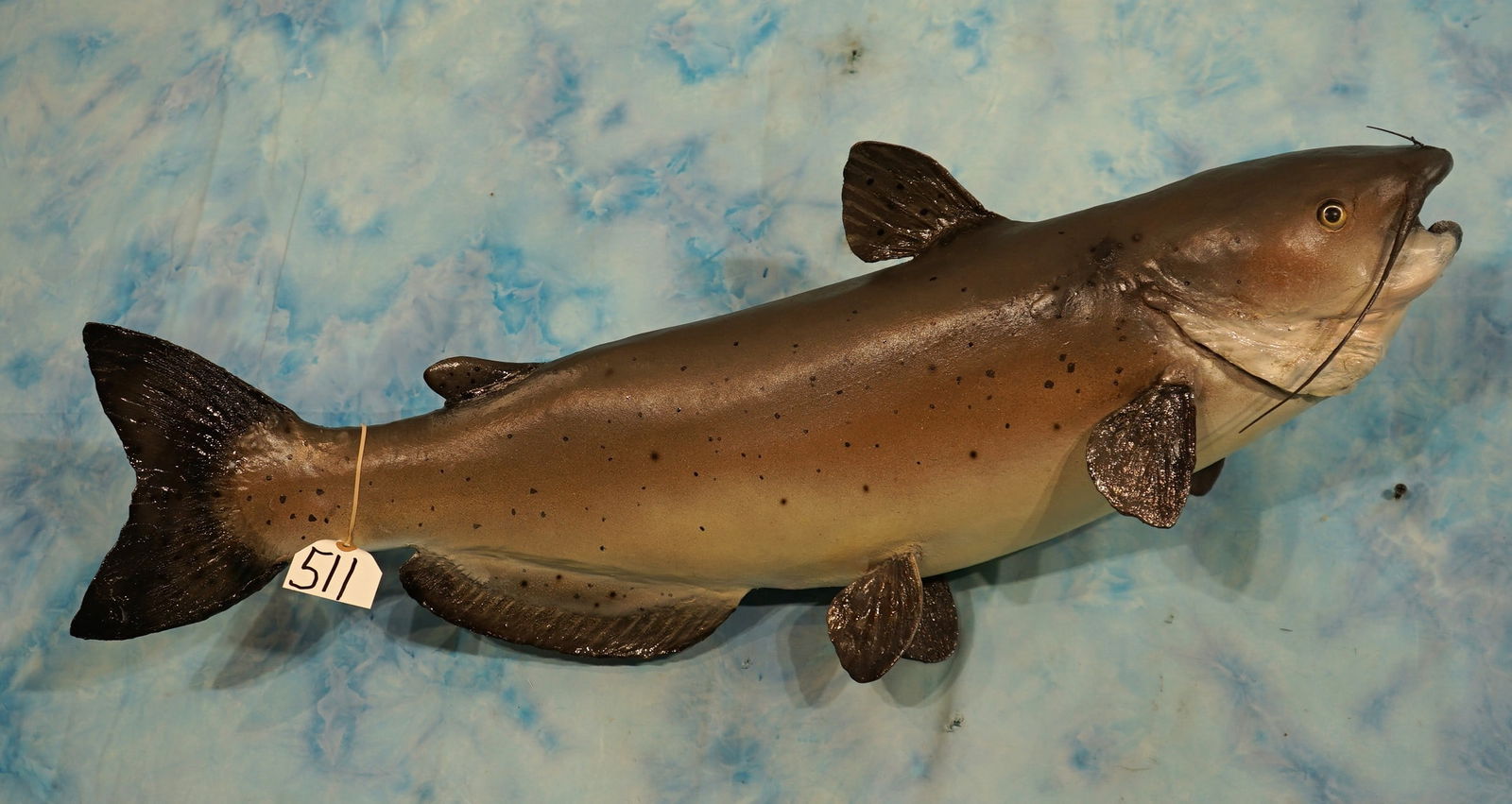 Real Skin 37" Channel Catfish Taxidermy Fish Mount (1 of 3)
