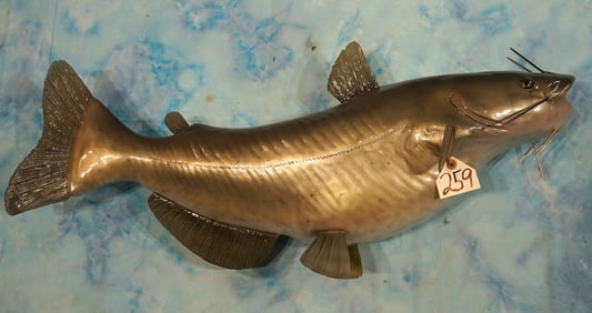 Brand New 36" Channel Catfish Fiberglass Reproduction Taxidermy Fish Mount