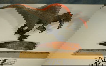 Rare Authentic Extra Large Spinosaurus egypticus Dinosaur Fossil Tooth with Full Root Intact