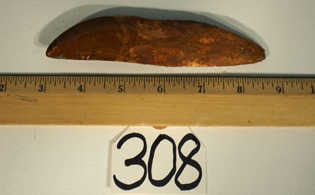 Authentic African T-Rex Dinosaur Fossil Tooth Complete with Root