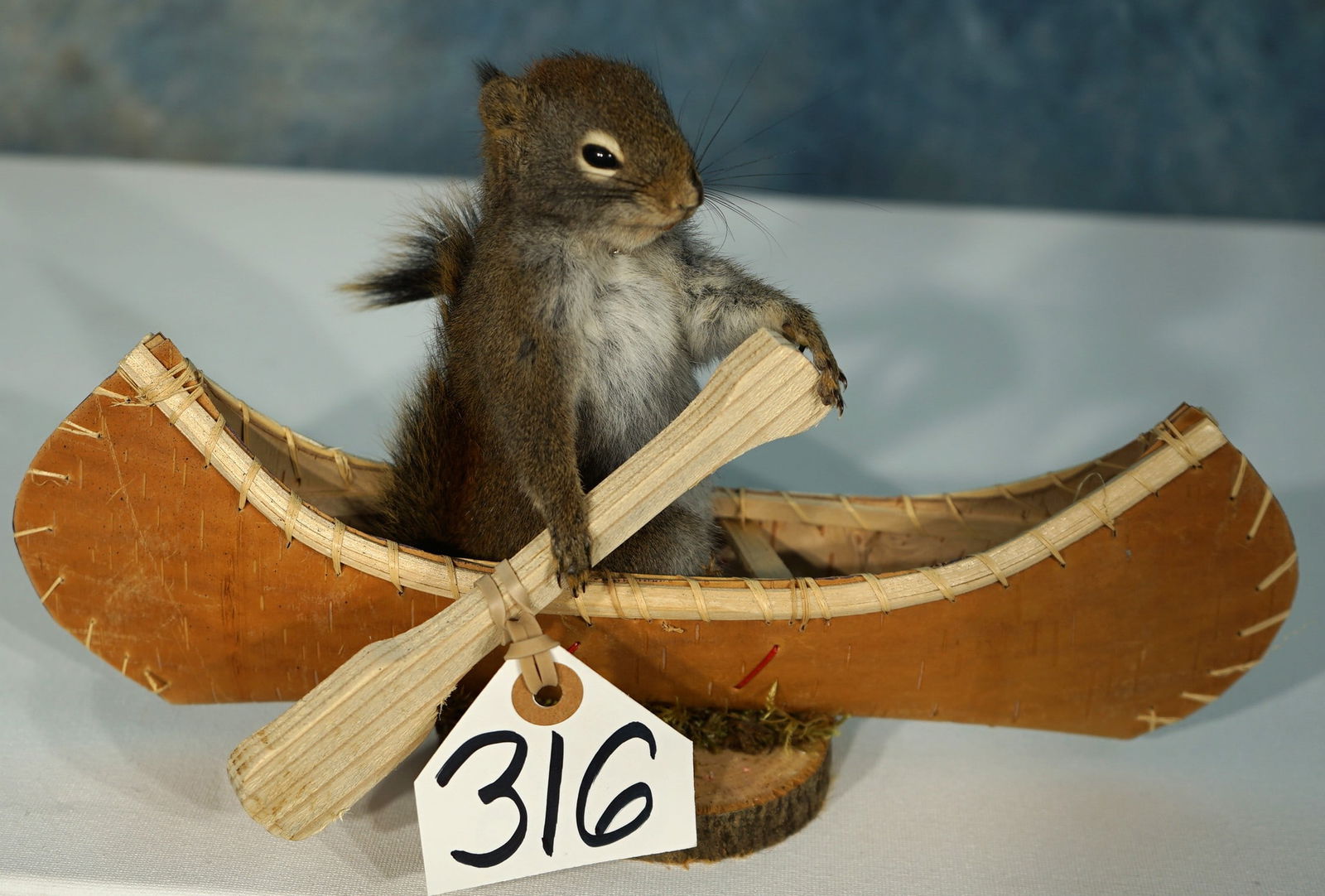 Squirrel in Canoe going down the river Novelty Taxidermy Mount: This is a brand new mount in mint condition. This one makes attractive decor and is sure to get some laughs.
