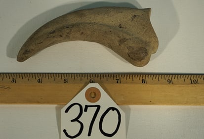 Extremely Rare Baryonyx Dinosaur Authentic Fossil Hand Claw