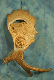 Moose Antlers with Grizzly Bear Carved into the Palm Taxidermy
