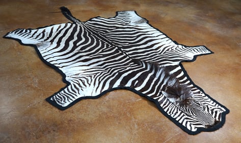 Very Nice African Zebra Rug Single Padded Taxidermy Mount