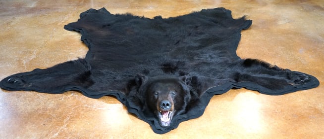 Good Quality Large Double Felted Black Bear Taxidermy Rug Mount