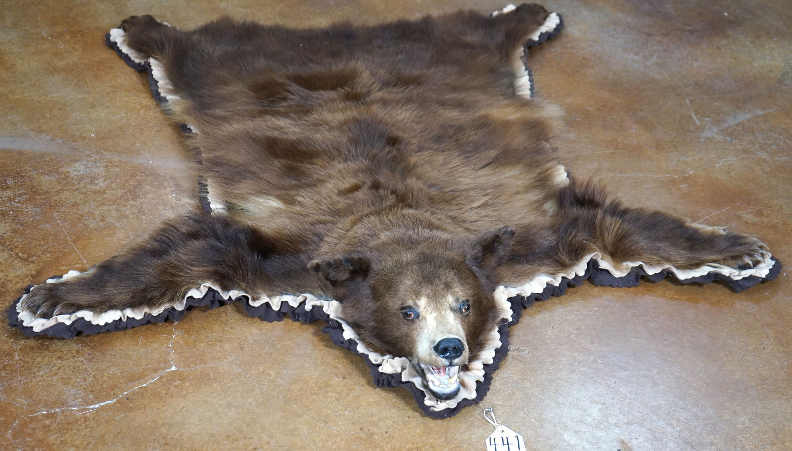 Colorado Cinnamon Black Bear Rug with Beige on Brown Felt Taxidermy Mount (1 of 4)
