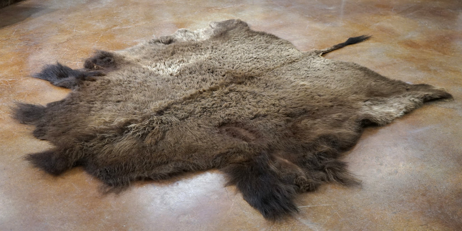 American Bison Tanned Half Backskin Rug Taxidermy: This half Bison Backskin has a good quality soft, and flexible tan. Its clean and in excellent condition. It is 7 feet and 7" long, and 5 feet and 10" wide. This tanned hide will go great at the side 