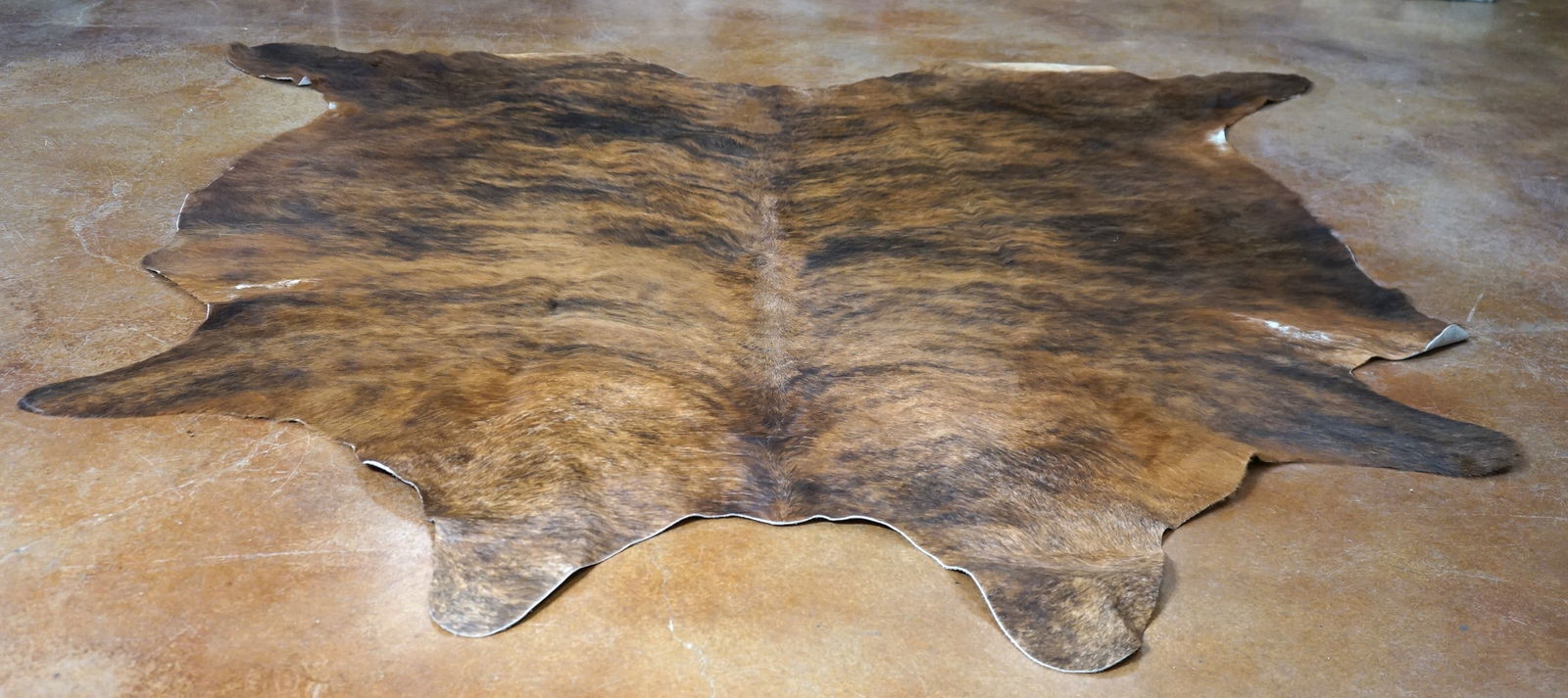 Soft Tanned Chocolate Brown Cowhide  Taxidermy (1 of 3)