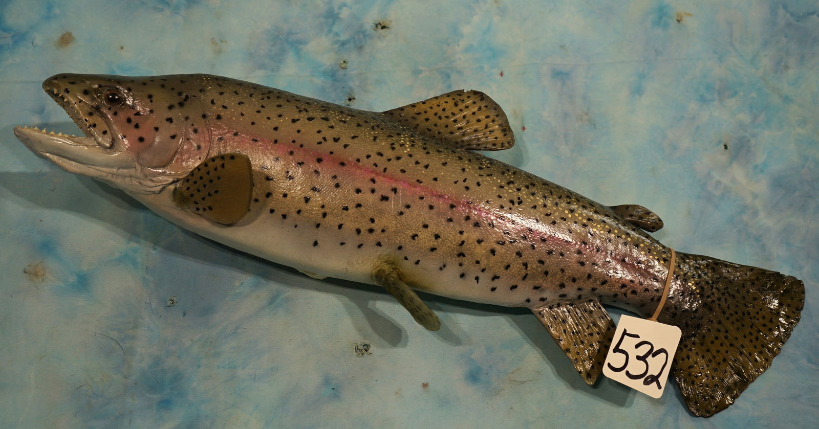 24" Rainbow Trout Fiberglass Reproduction Taxidermy Fish Mount (1 of 2)