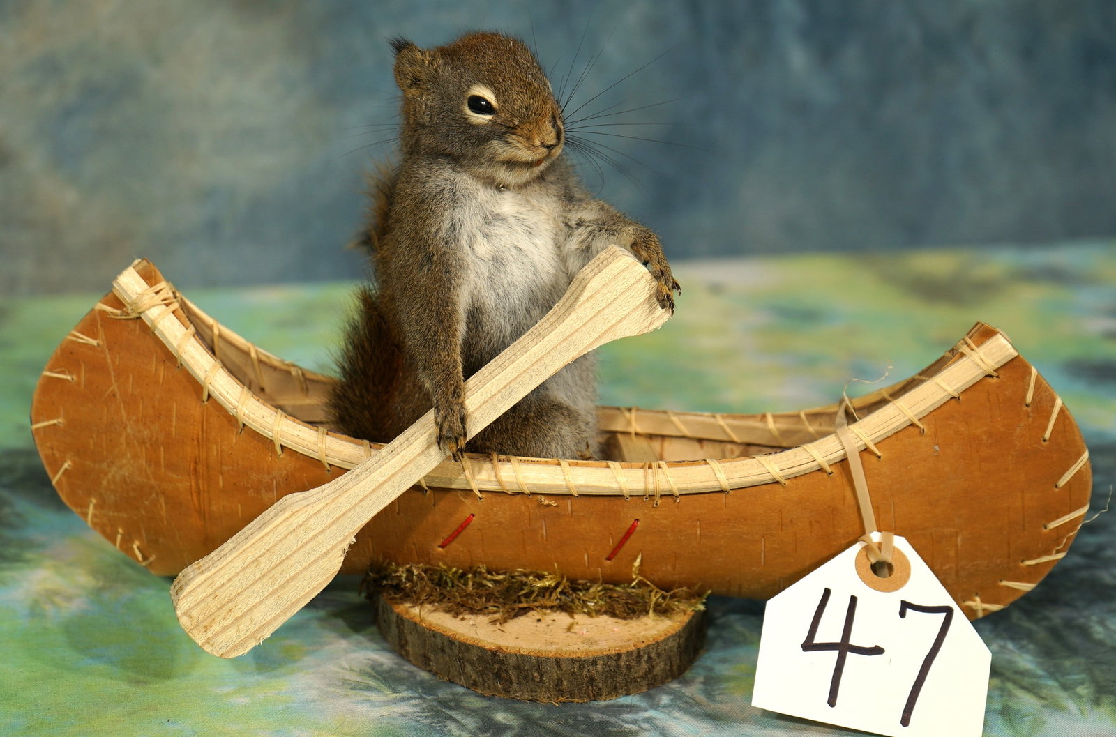 Squirrel in a Canoe Novelty Taxidermy Mount (1 of 3)