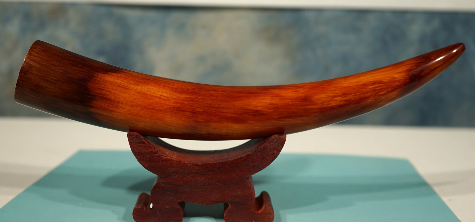 Authentic Juvenile Mammoth Tusk Tip on Display Stand - 2