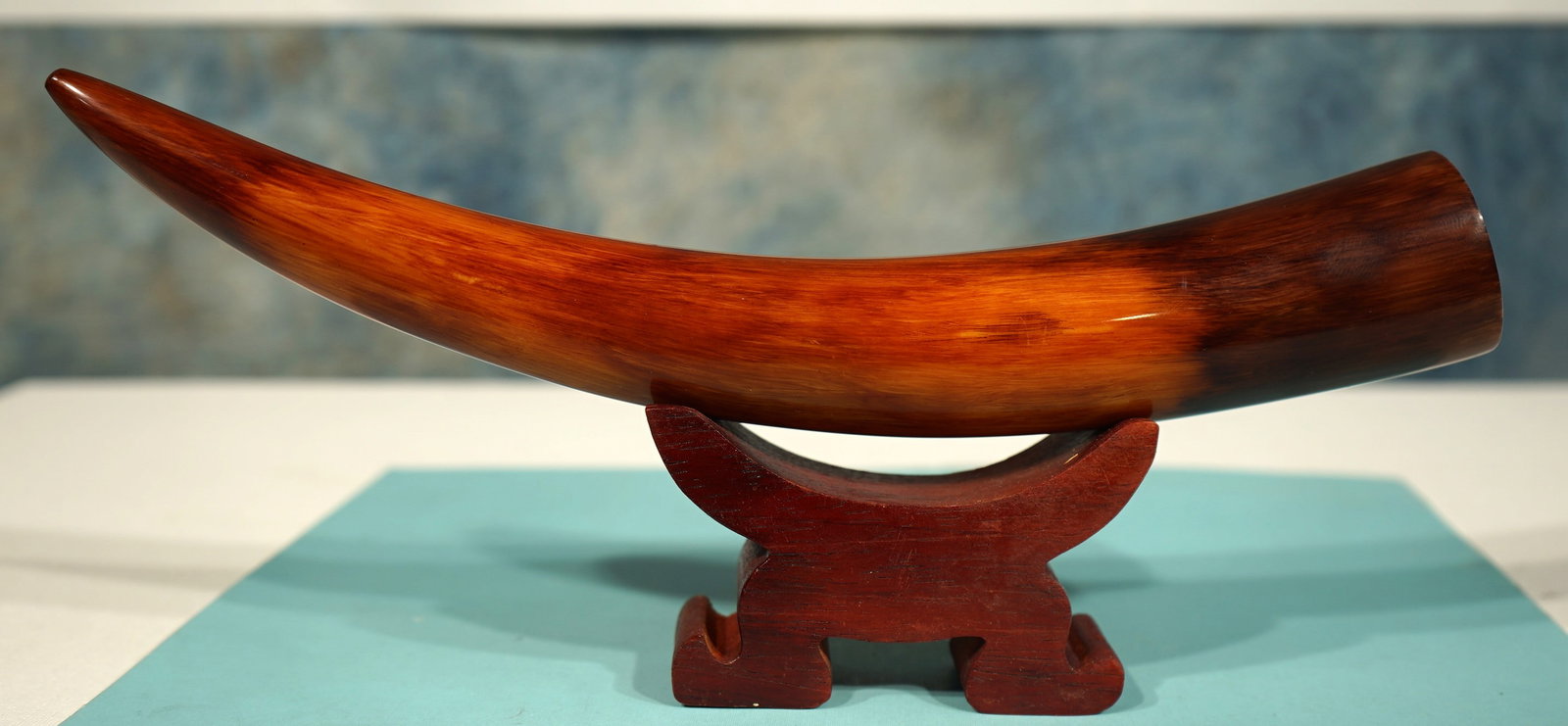 Authentic Juvenile Mammoth Tusk Tip on Display Stand - 3