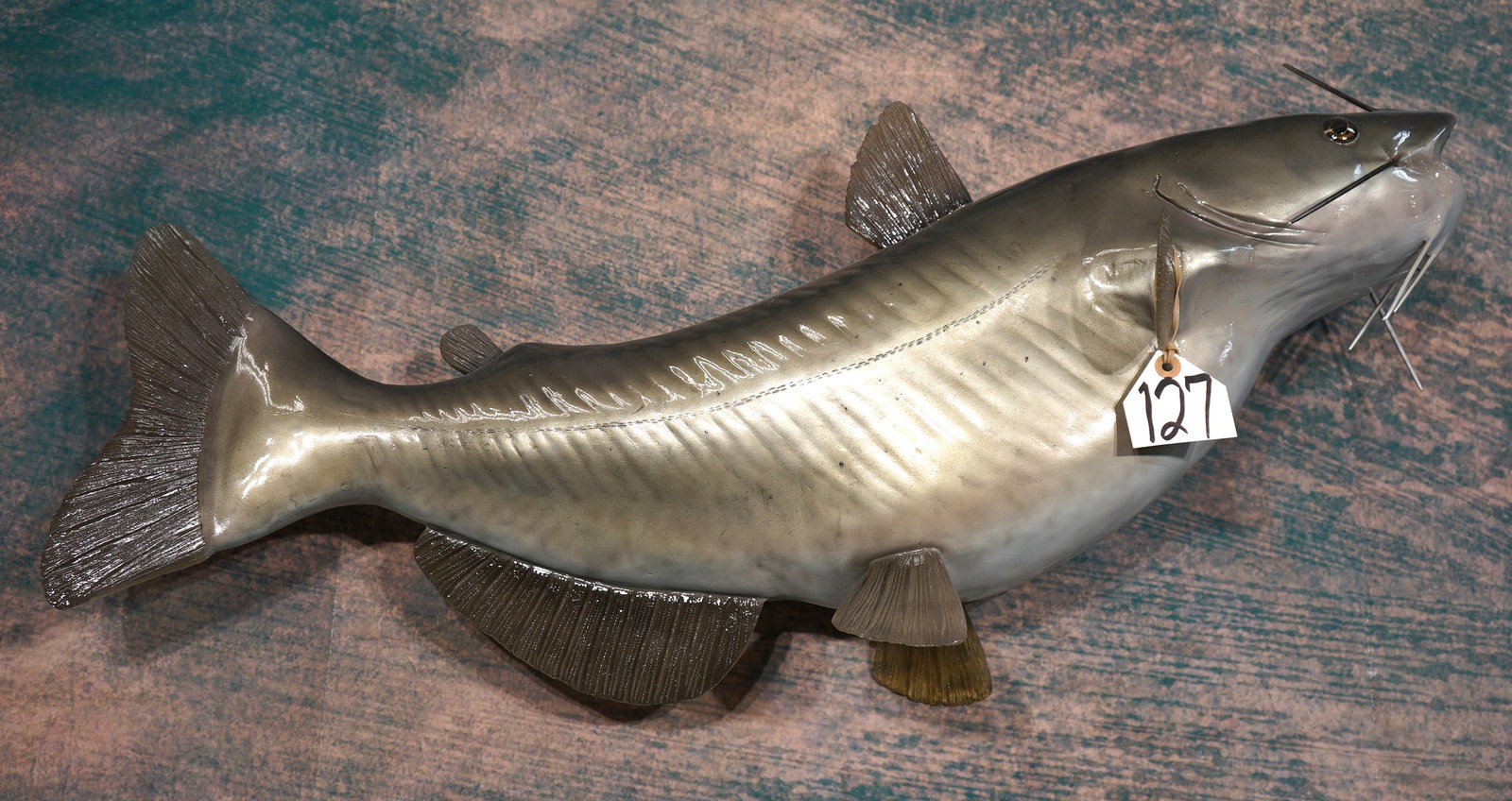 Brand New! Channel Catfish Fiberglass Reproduction Taxidermy Fish Mount (1 of 3)