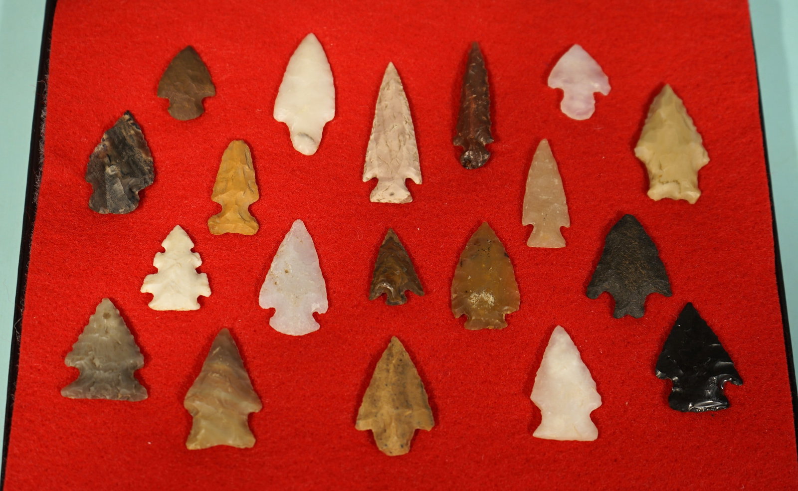 (19) Authentic Bird Point Arrowhead Artifacts in Display Case - 2