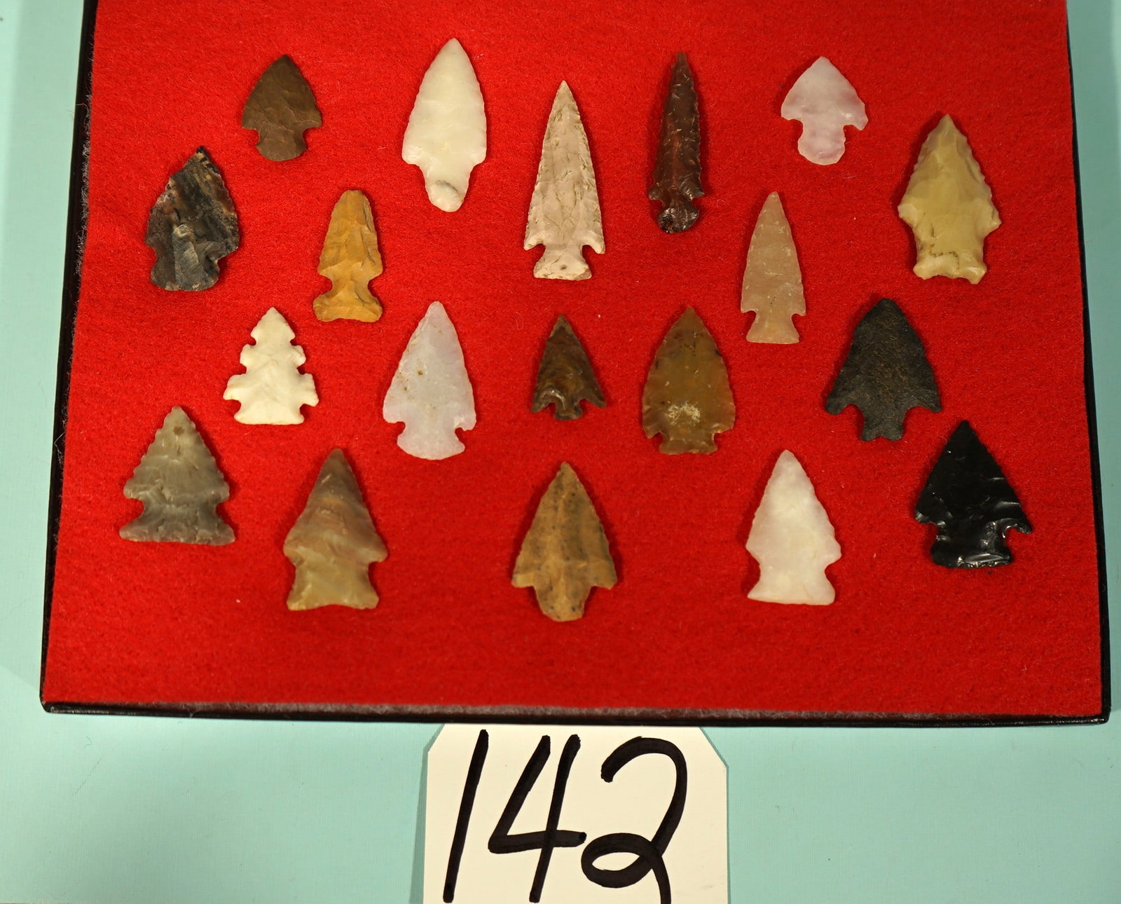 (19) Authentic Bird Point Arrowhead Artifacts in Display Case - 3