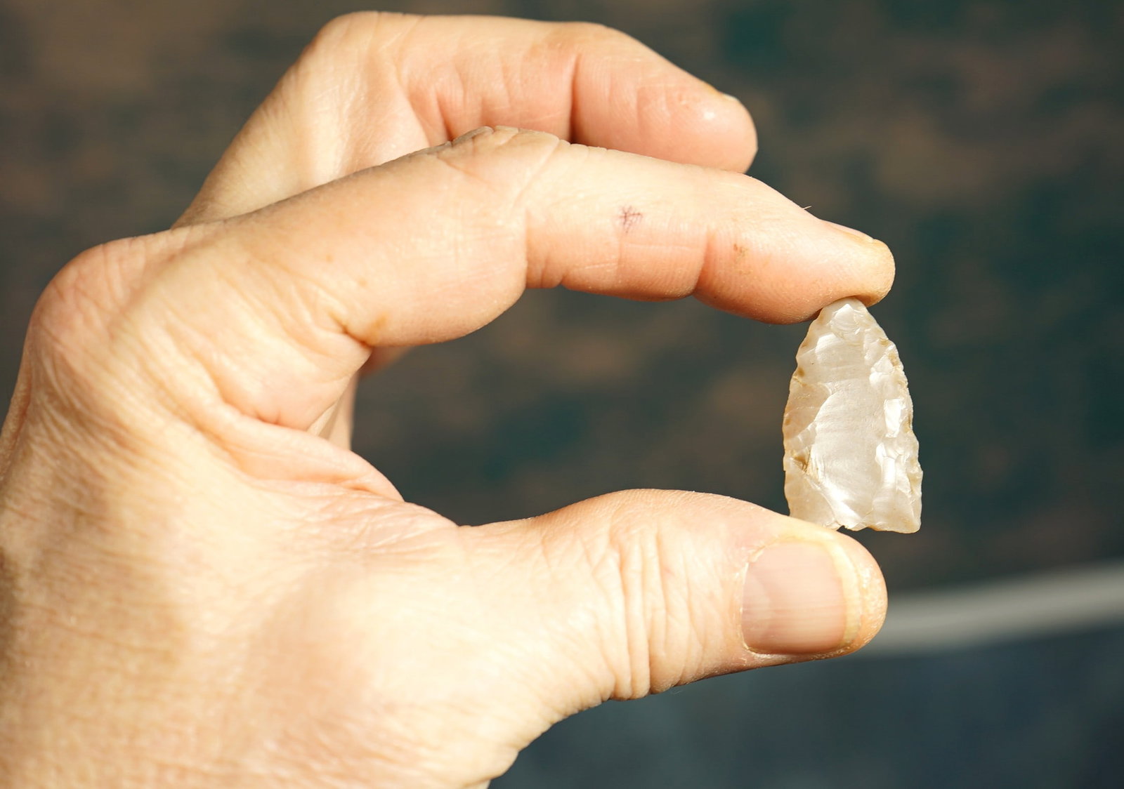 Very Rare Authentic Double Fluted Folsom Point Arrowhead Artifact with Dwain Rogers COA: This Folsom Point was recovered in Eastern New Mexico. It is double fluted. One side all the way to the tip, and the other side 80% of the way. Folsom Points are one of the oldest types known,