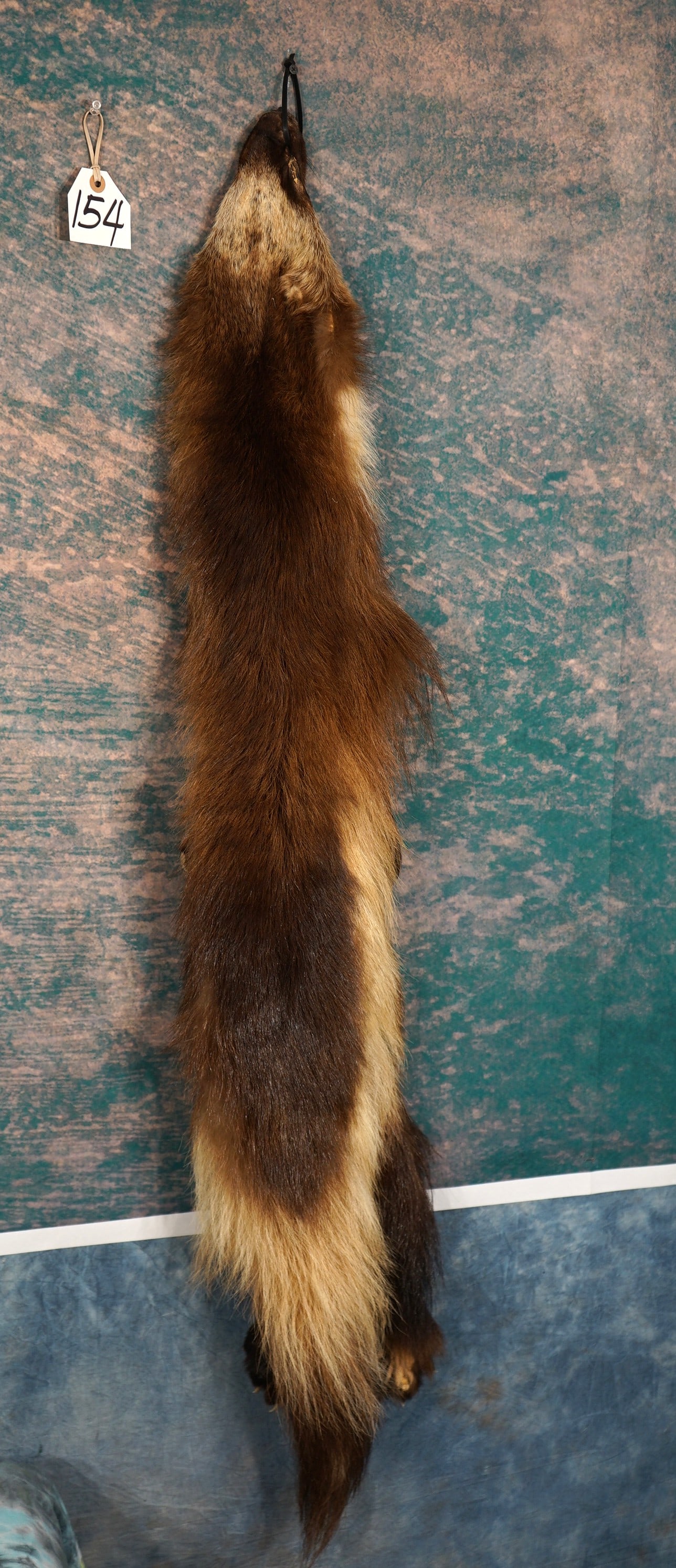 Soft Tanned Wolverine Full Skin Taxidermy (1 of 3)