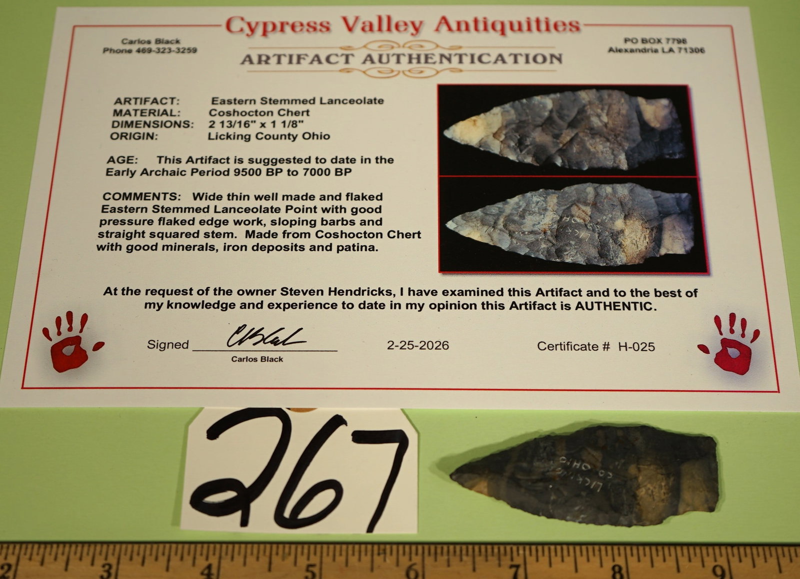 Authentic Eastern Early Stemmed Lancelot Spear Point with Carlos Black COA (1 of 4)