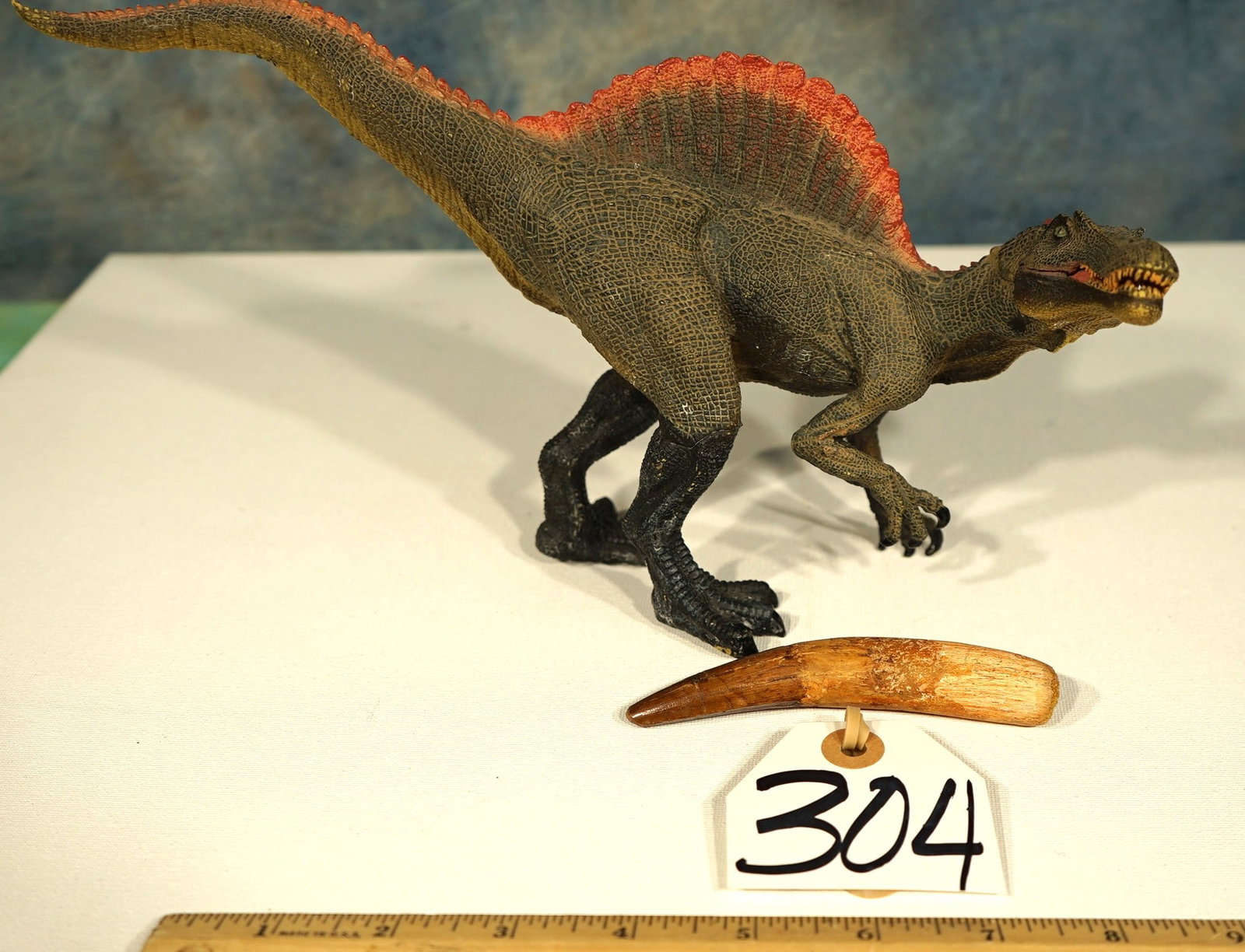 Rare & Authentic Spinosaurus Dinosaur Complete Fossil Tooth with Root: This tooth is in pristine condition and it grades a 97 on a 1 to 100 quality scale. This tooth measures 4 9/16" long. This is an excellent Dinosaur Fossil Collectors Tooth.