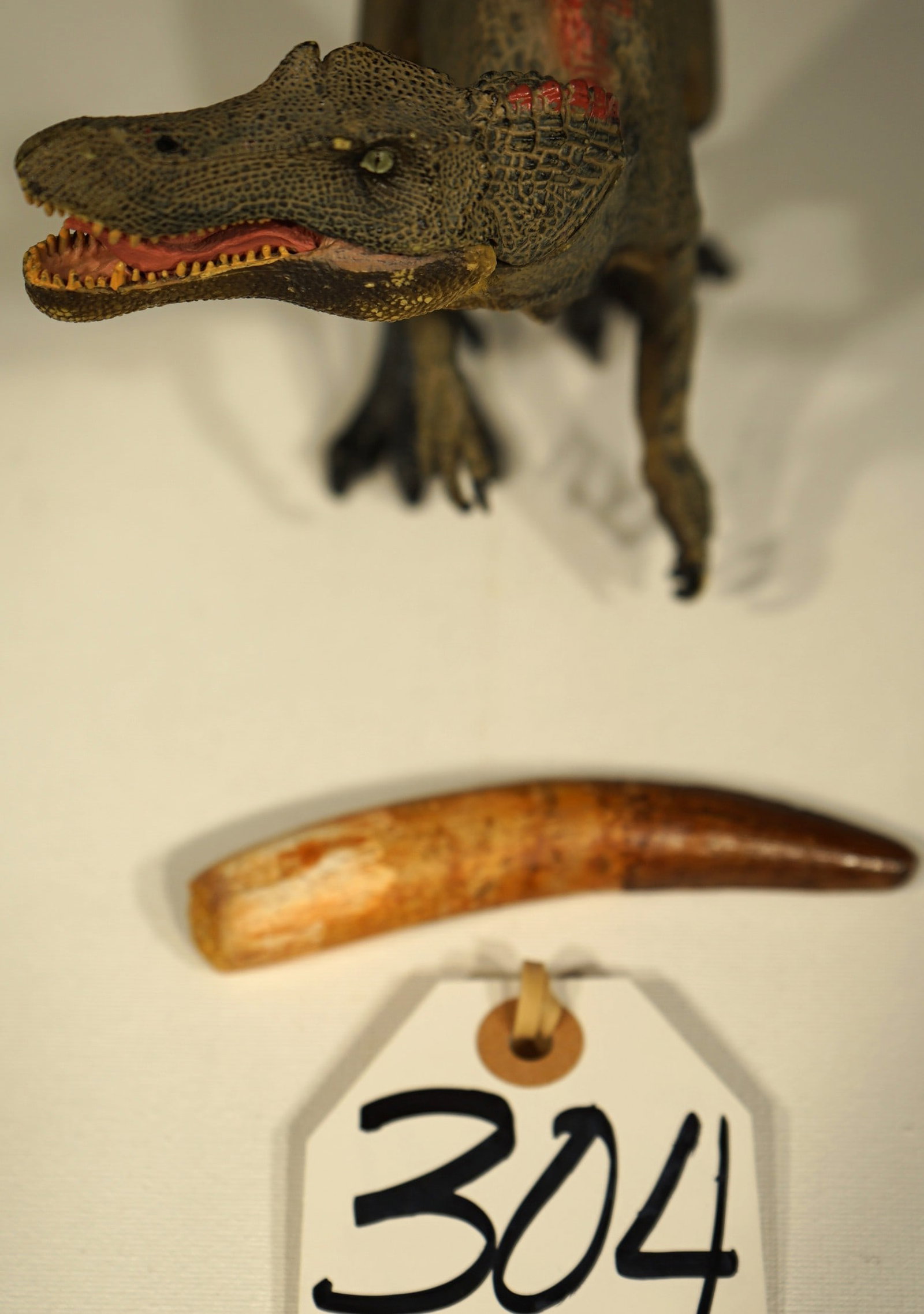 Rare & Authentic Spinosaurus Dinosaur Complete Fossil Tooth with Root - 4