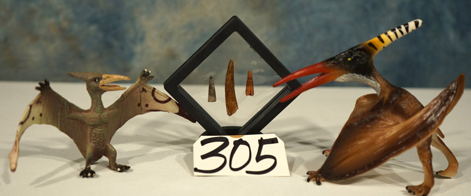 Three Authentic Pterosaurs "Flying Dinosaur" Fossil Teeth: These are good quality Pterosaur Teeth. The longest is 1 5/8" long. These teeth were recovered from the Kem-Kem Basin in Morocco.