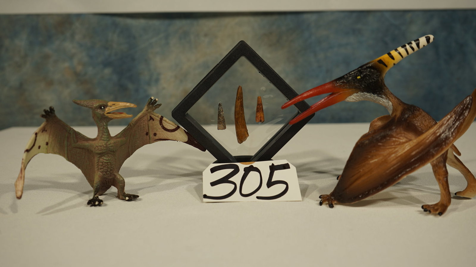 Three Authentic Pterosaurs "Flying Dinosaur" Fossil Teeth - 2