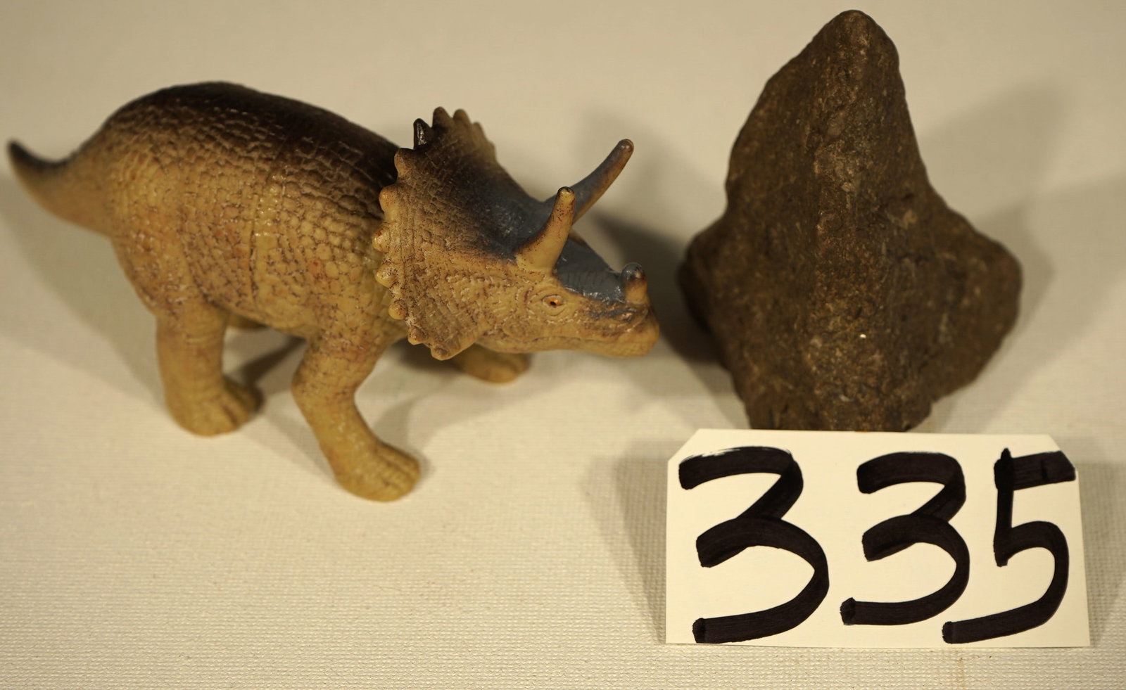 Authentic Baby Triceratops Dinosaur Fossil Nose Horn: This Baby Triceratops horridus fossil Nose Horn was recovered on private land in Southeastern Montana, in the Hell Creek Formation. The little horn was exposed on the surface and pre-mineralized. In l