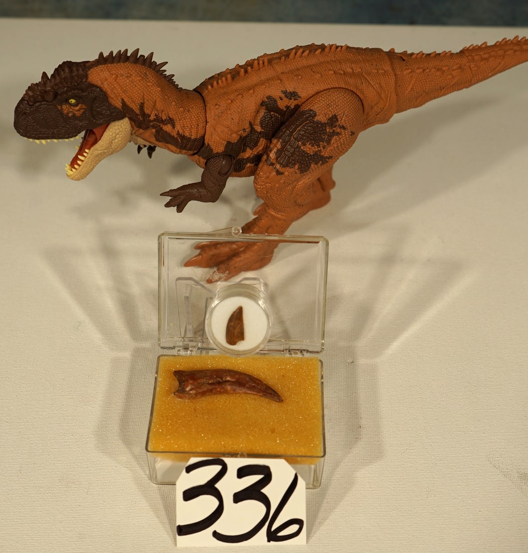 Very Rare Kryptops Dinosaur Fossil Hand Claw with Tooth (1 of 5)