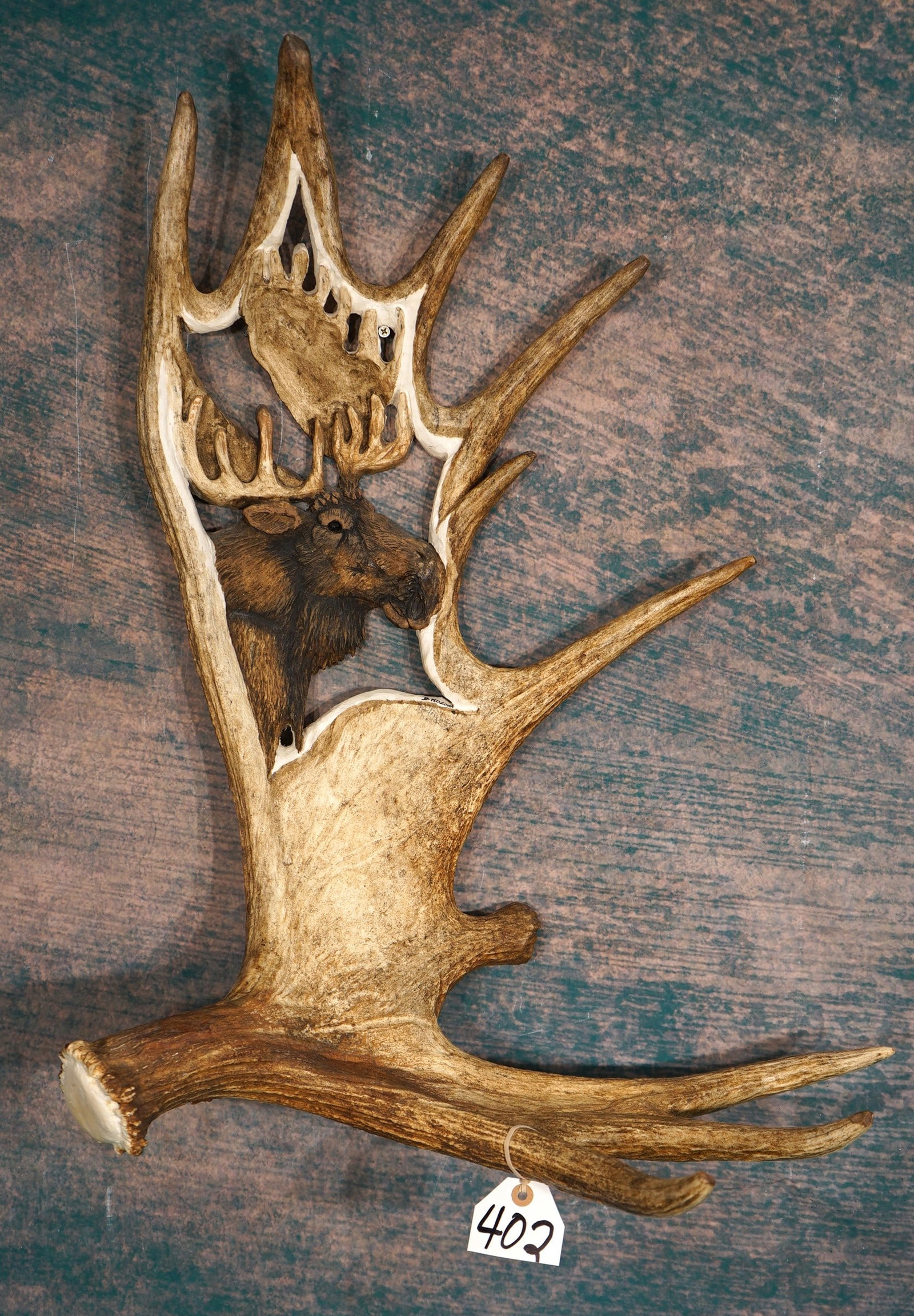 Beautiful Moose Antler Carving For Wall Decor Taxidermy (1 of 3)