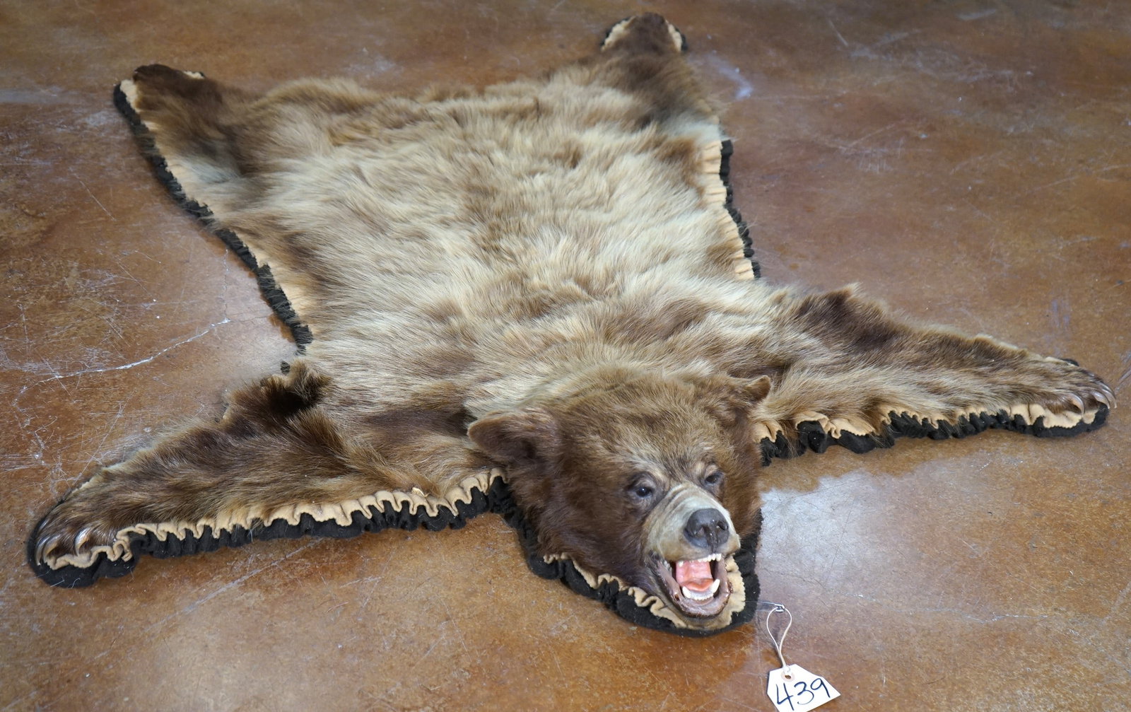 Beautiful Cinnamon Blond Black Bear Rug Taxidermy Mount (1 of 4)