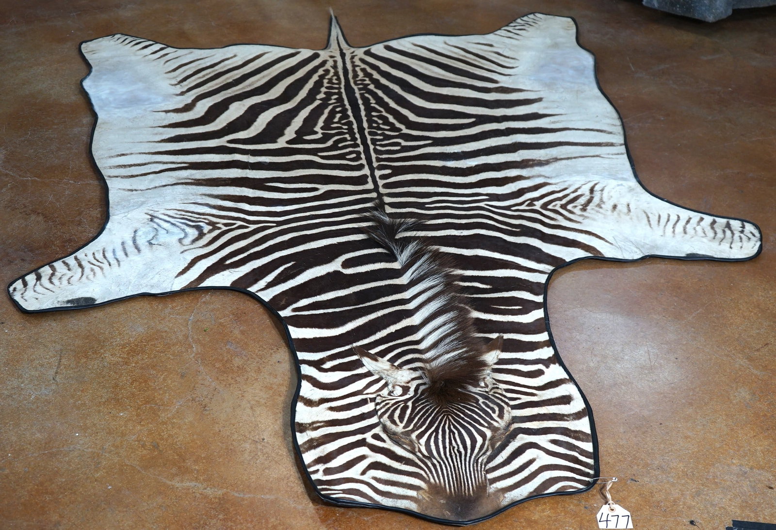 Large Leather Black Felted Zebra Rug Taxidermy Mount (1 of 4)