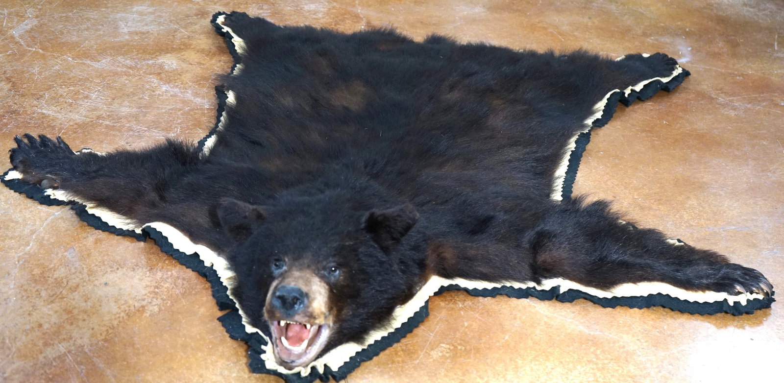 Black Bear Padded & Felted Taxidermy Rug Mount (1 of 4)