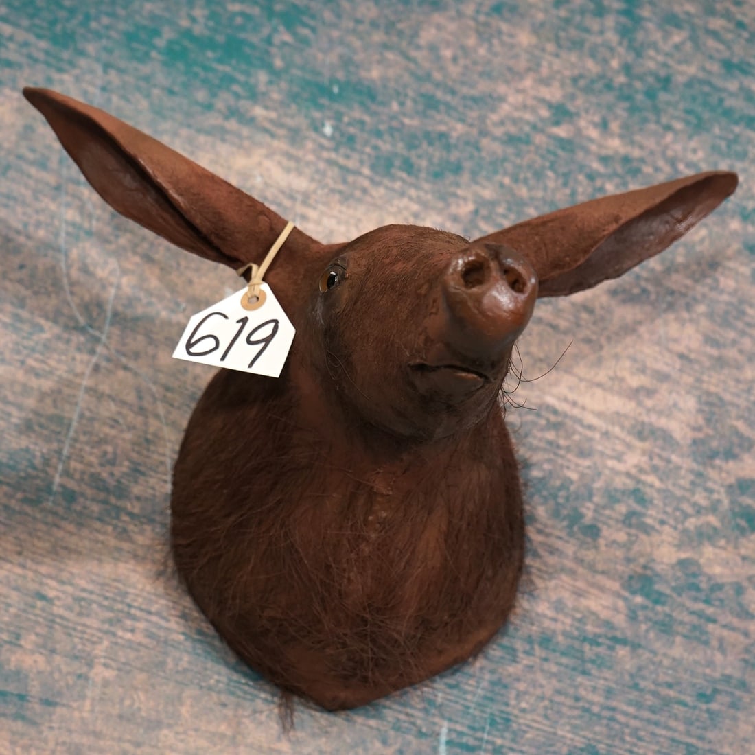 Super Cool & Rare! Aardvark Shoulder Taxidermy Mount: Little is known about this animal, yet we have learned enough to know that he is important to the environment. In 42 years of selling mounts, this is just the third one we have had; and this is the fi