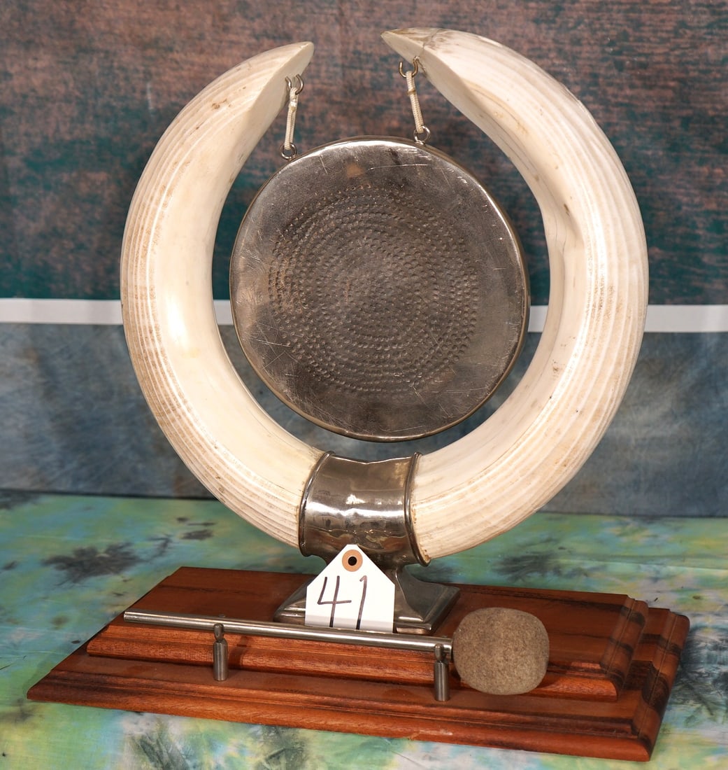 Very Nice Hippo Tusk Gong for Trophy Room Decor (1 of 3)