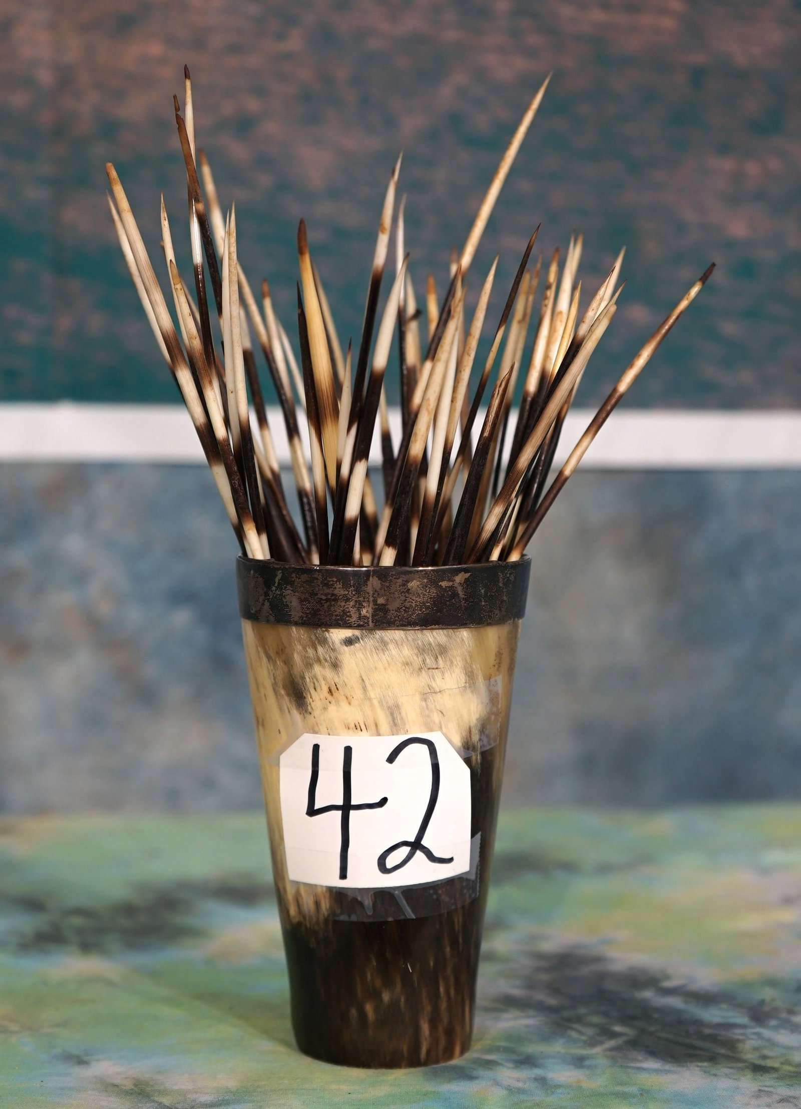 Cow Horn Cup Full of African Porcupine Quills for Trophy Room Decor: This cup is made from a Cow or Bulls horn. The Quills are beautiful but also deadly. Many an African Leopard or Lion has regretted messing around with the African Porcupine.