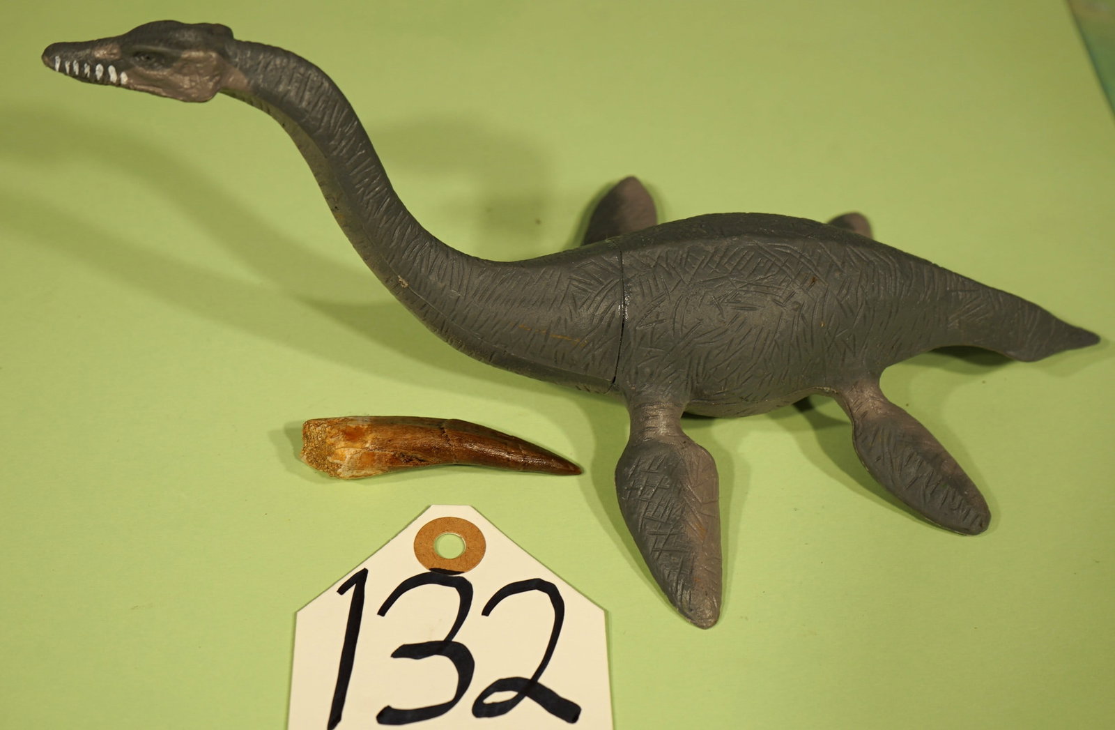Authentic Plesiosaur Fossil Tooth Marine Cretaceous Dinosaur: This is a fairly large Plesiosaur tooth that is in excellent condition. This tooth will make a great starter piece for a new Fossil Collector.