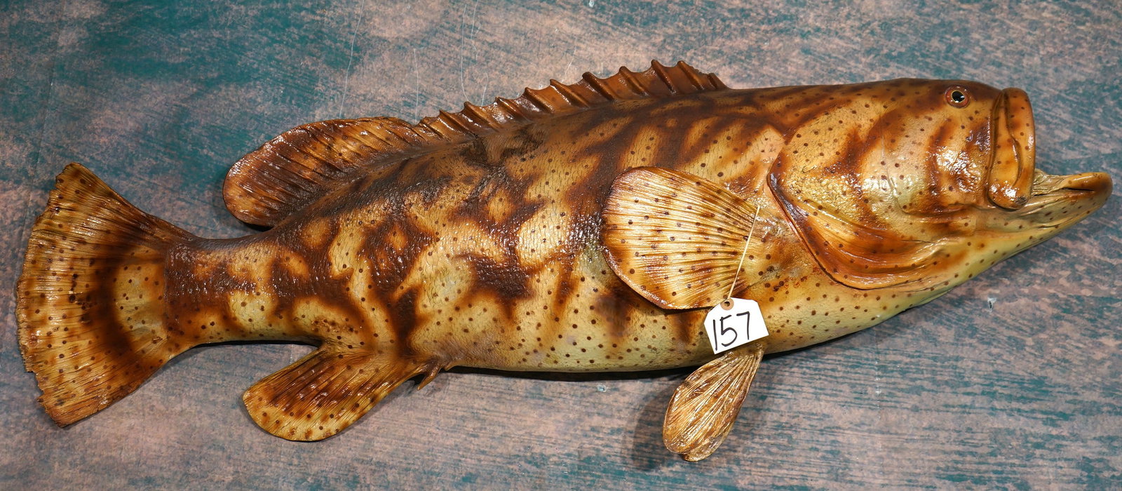 52" Yellowfin Grouper Fiberglass Taxidermy Fish Mount