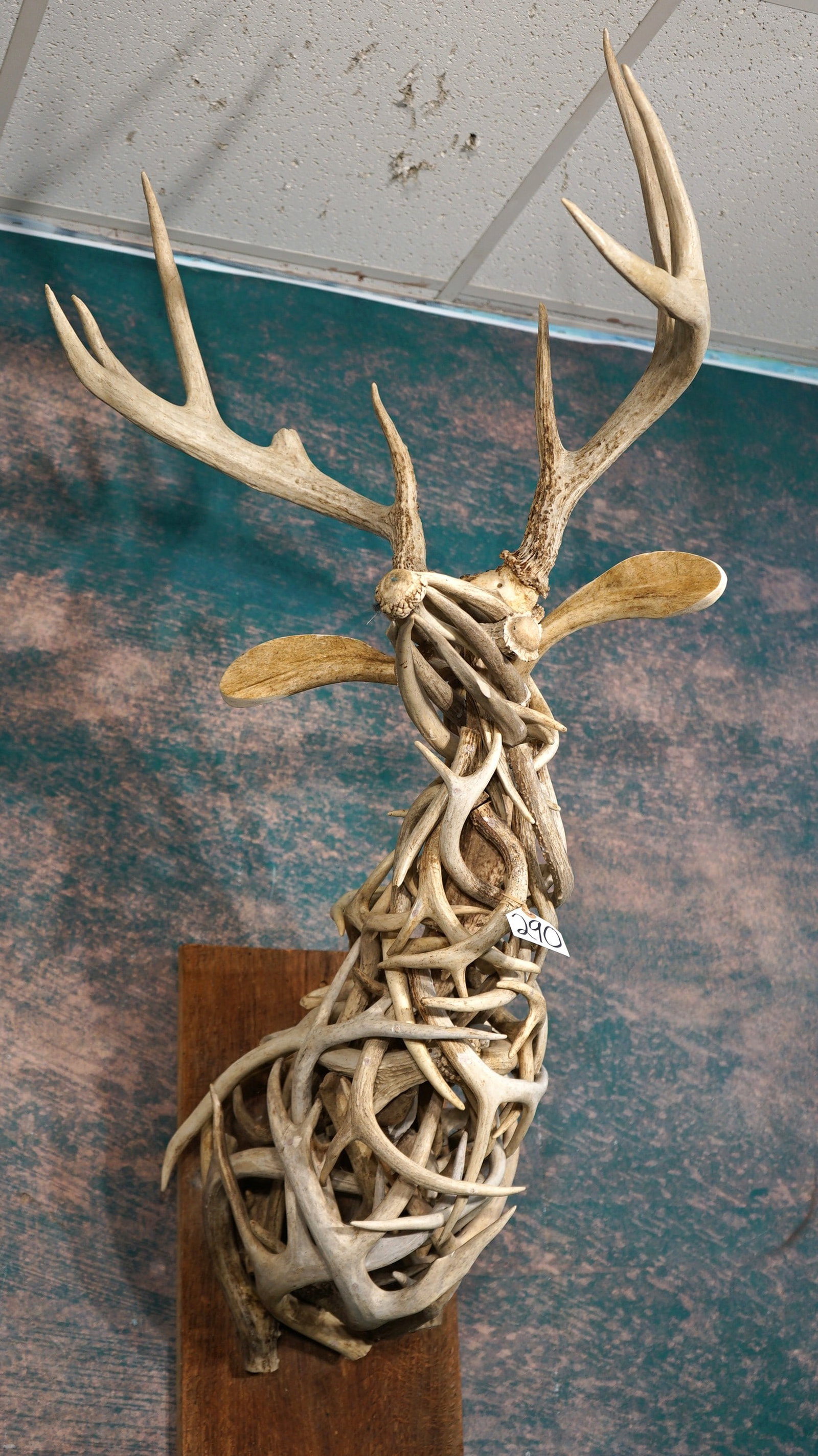 Super Cool Deer Shoulder Mount Made from Whitetail Deer Antlers (1 of 3)