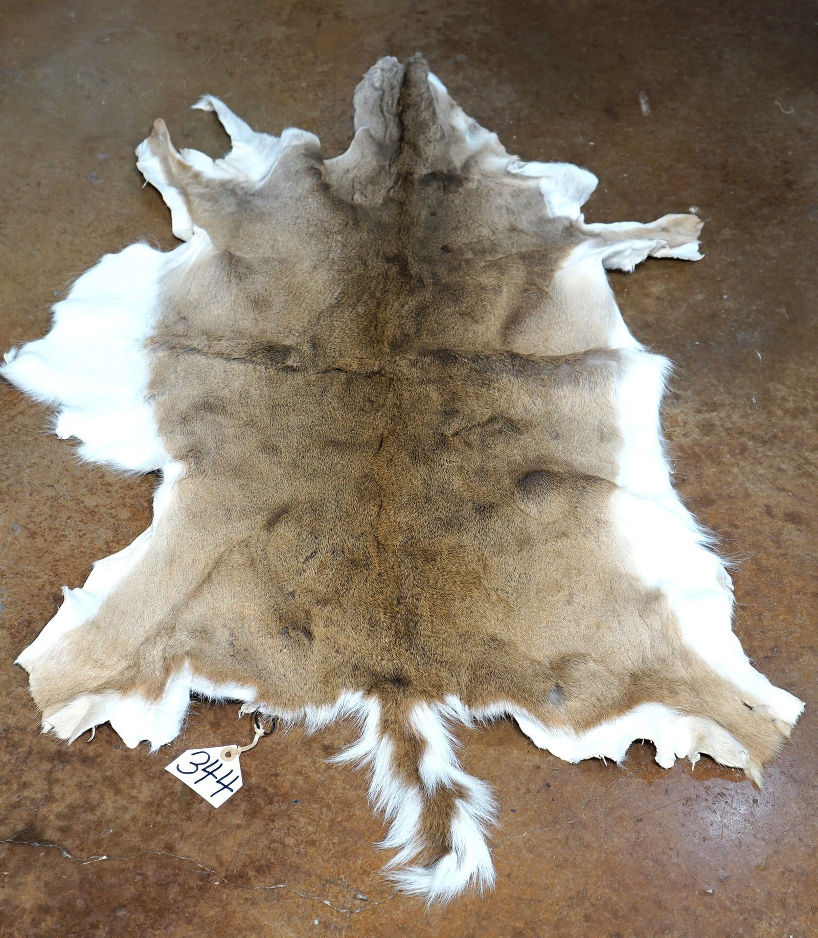 Soft Tanned Full Whitetail Backskin Taxidermy (1 of 2)