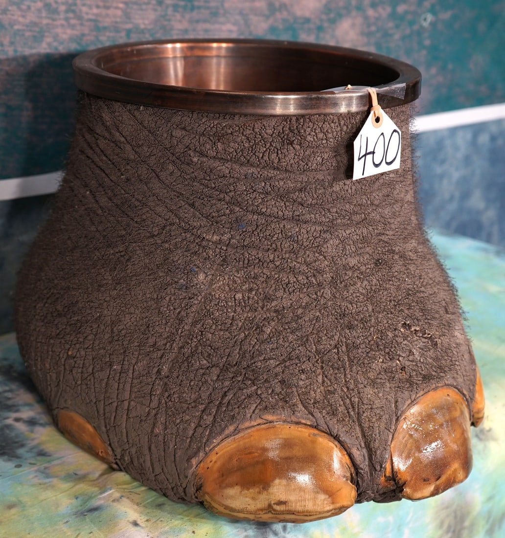 Large Elephant Foot Trashcan Taxidermy **U.S. Residents Only!** (1 of 3)