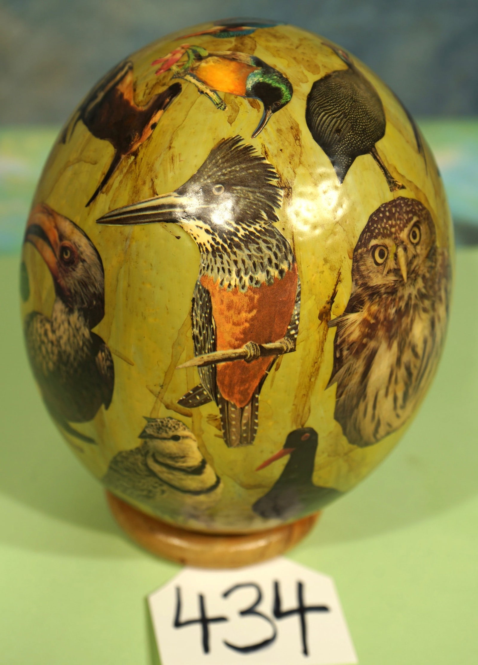 Beautiful Hand Painted Ostrich Egg on Stand, with the Birds of Africa: This is a one of a kind, and very unique Ostrich Egg, with the Birds of Africa Painted on it. It has a good stand glued on it. It has my favorite two African Birds. The Yellow Hornbill and the Go-Away