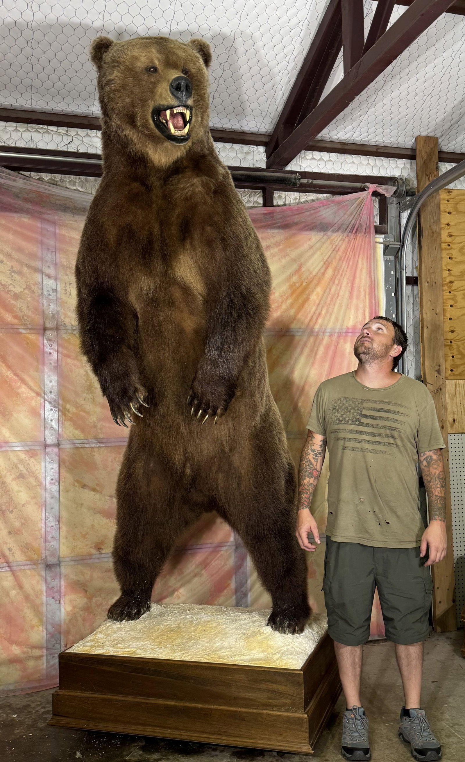 10ft. Kamchatka Standing Brown Bear Full Body Quality Taxidermy Mount (1 of 6)