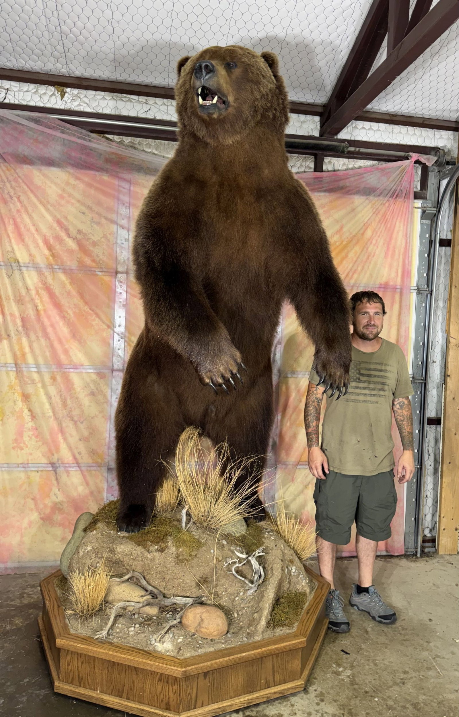 Record Class Standing Alaskan Brown Bear Taxidermy Mount in Habitat (1 of 13)
