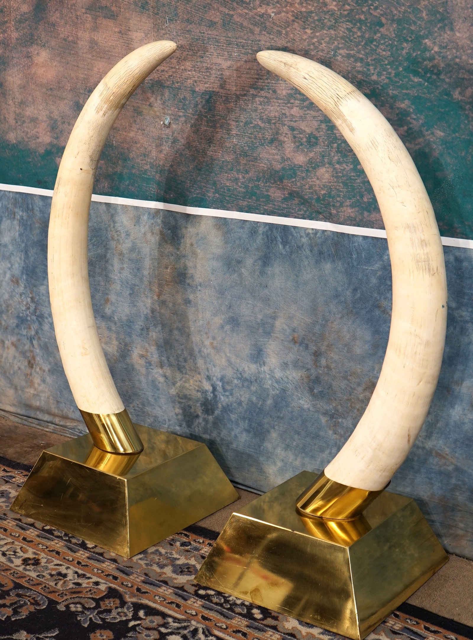 Legal Pre-ban set of 7 1 1/4"x 70 Lbs. African Elephant Tusk in Decorative Display Stands Taxidermy (1 of 6)