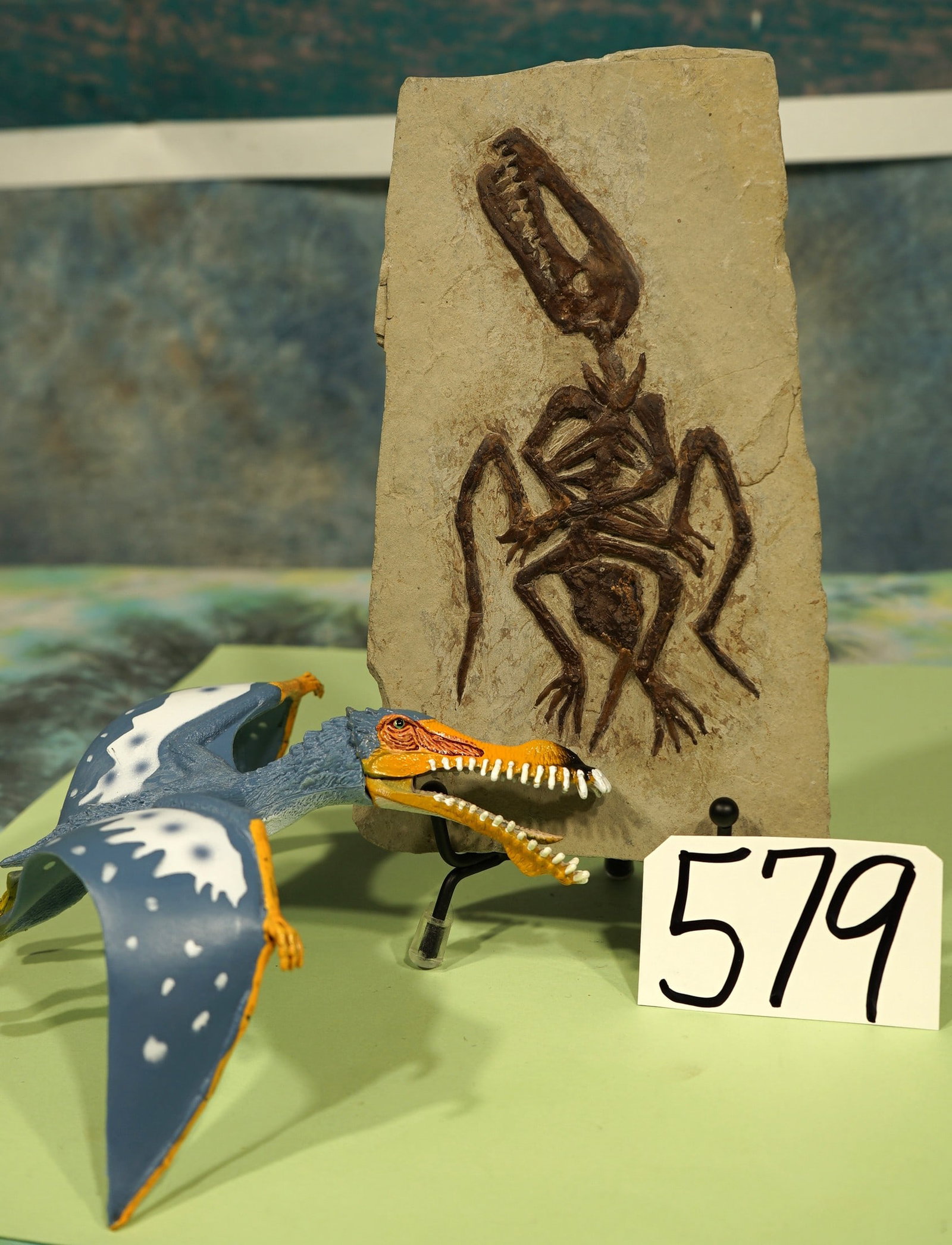 Awesome! Authentic Baby Pterosaur "Flying Dinosaur" Fossil in Matrix (1 of 4)